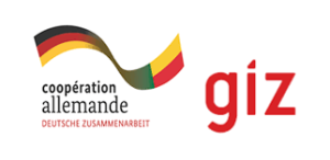 Logo GIZ (1)